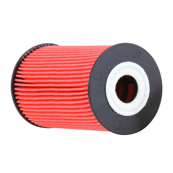 K&N Oil Filter PS-7029