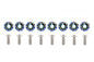 Decorative screws M6x1.0 15mm D1 Neo