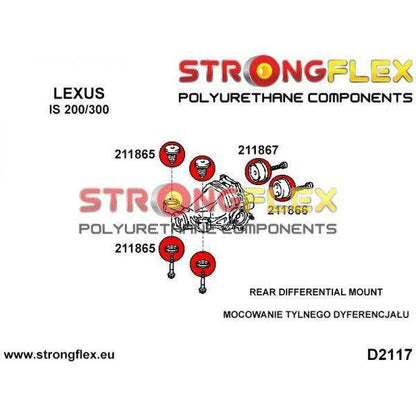 Hinteres Differentiallager - vorderes Lager SPORT