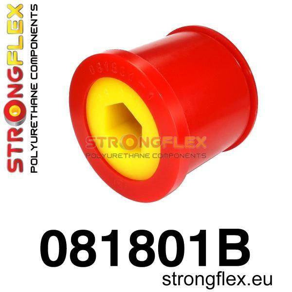 Vorderer unterer Querlenker hinteres Lager, 081801B