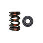 Brian Crower Dual-Feder/Stahl-Adapterkit (Honda/Acura B18A/B18B/B20B) BC0020S