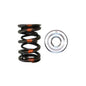 Brian Crower Dual-Feder/Titanium-Stopper-Kit (Honda/Acura B18A/B18B/B20B) BC0020