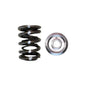 Brian Crower Dual-Feder/Titanium-Stopper-Kit (Honda B18C/B16A/B17A – Rennsport & eingeschränkter Straßenbetrieb) BC0010