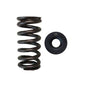 Brian Crower Einzelventilfeder-/Stahl- Retainersatz (Honda L15) BC0089S