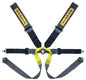 Racing seat belts Sabelt Formula Gold 6-points (CCG633FND) FIA