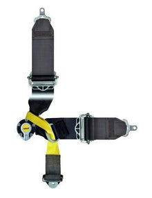 Racing seat belts Sabelt Formula Gold 6-points (CCG633FNU) FIA