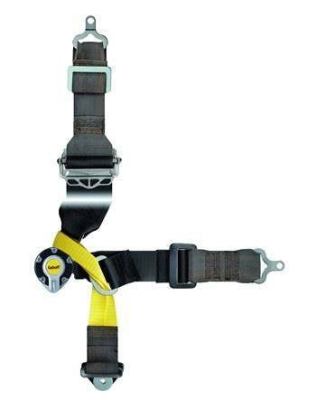 Racing seat belts Sabelt Formula Gold 6-points (CCG652FNU) FIA