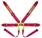 Racing seat belts Sabelt Formula Silver 6-points (CCA633F...U) FIA