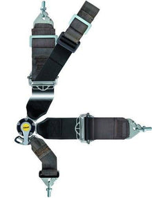 Racing seat belts Sabelt Saloon Gold 8-points (CCG833SND) FIA