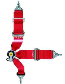 Racing seat belts Sabelt Saloon Silver 6-points (CCA633S...U) FIA
